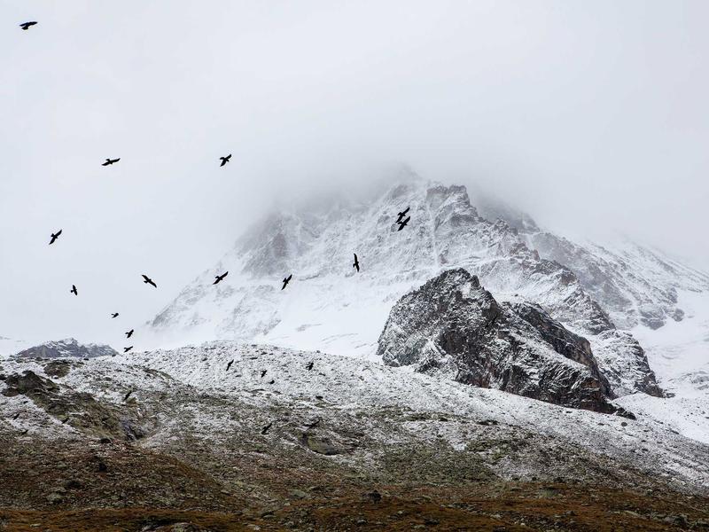 sudoku no mistakes screenshot 6